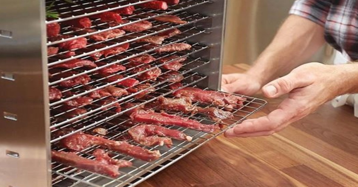Jak vybrat sušičku na maso a na kolik stupňů sušit | Maso Here Blog